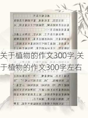 关于植物的作文300字,关于植物的作文300字左右