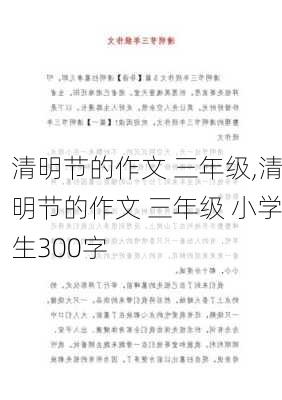 清明节的作文 三年级,清明节的作文 三年级 小学生300字