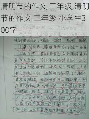 清明节的作文 三年级,清明节的作文 三年级 小学生300字