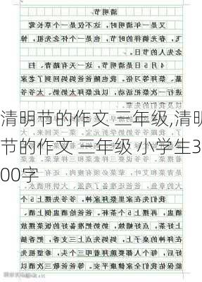 清明节的作文 三年级,清明节的作文 三年级 小学生300字