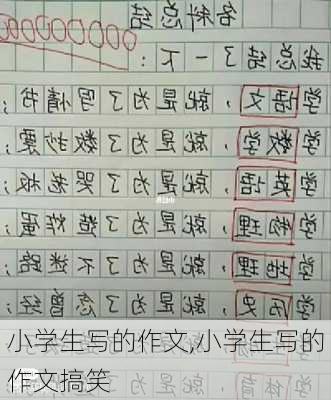 小学生写的作文,小学生写的作文搞笑