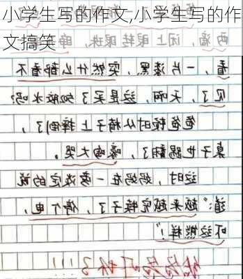 小学生写的作文,小学生写的作文搞笑