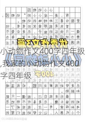 小动物作文400字四年级,我家的小动物作文400字四年级