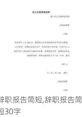 辞职报告简短,辞职报告简短30字