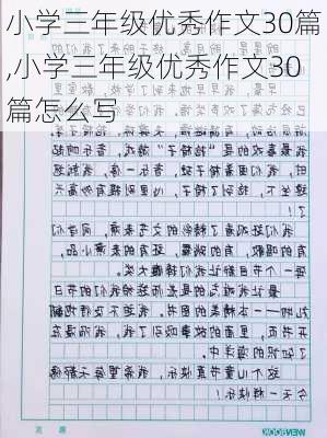 小学三年级优秀作文30篇,小学三年级优秀作文30篇怎么写