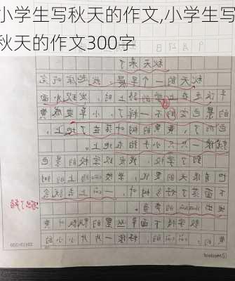 小学生写秋天的作文,小学生写秋天的作文300字