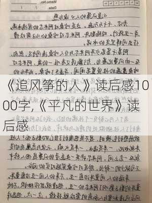 《追风筝的人》读后感1000字,《平凡的世界》读后感