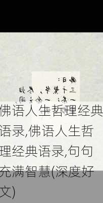 佛语人生哲理经典语录,佛语人生哲理经典语录,句句充满智慧(深度好文)