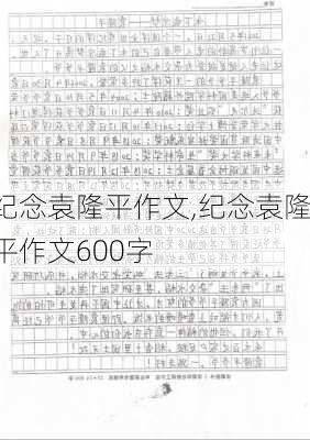 纪念袁隆平作文,纪念袁隆平作文600字