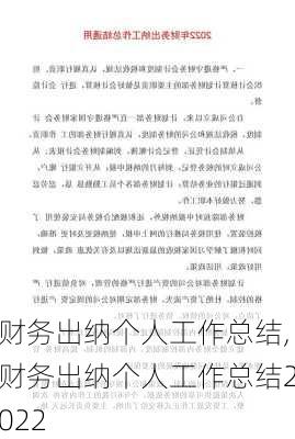 财务出纳个人工作总结,财务出纳个人工作总结2022