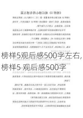 榜样5观后感500字左右,榜样5 观后感500字