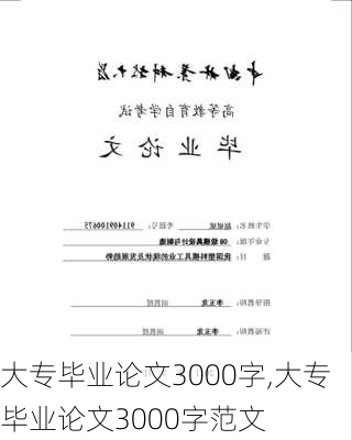 大专毕业论文3000字,大专毕业论文3000字范文