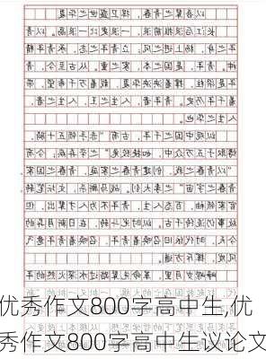 优秀作文800字高中生,优秀作文800字高中生议论文