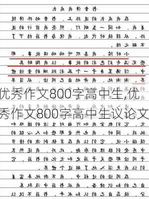 优秀作文800字高中生,优秀作文800字高中生议论文