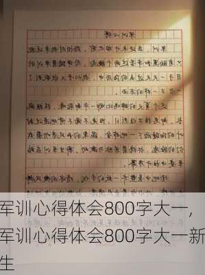 军训心得体会800字大一,军训心得体会800字大一新生