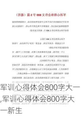 军训心得体会800字大一,军训心得体会800字大一新生