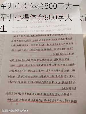 军训心得体会800字大一,军训心得体会800字大一新生