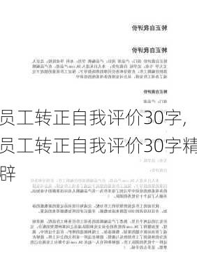 员工转正自我评价30字,员工转正自我评价30字精辟