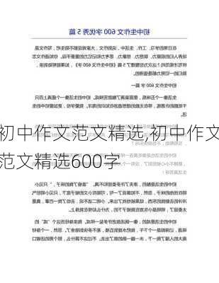 初中作文范文精选,初中作文范文精选600字