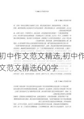 初中作文范文精选,初中作文范文精选600字