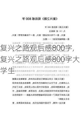 复兴之路观后感800字,复兴之路观后感800字大学生