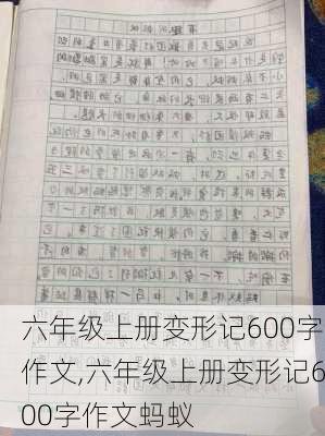 六年级上册变形记600字作文,六年级上册变形记600字作文蚂蚁