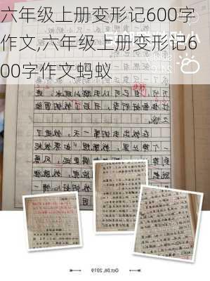 六年级上册变形记600字作文,六年级上册变形记600字作文蚂蚁