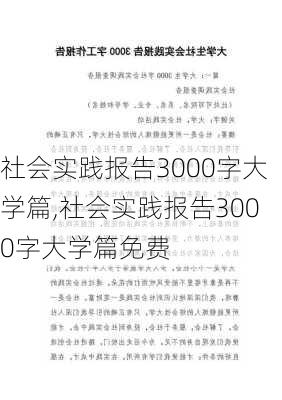 社会实践报告3000字大学篇,社会实践报告3000字大学篇免费