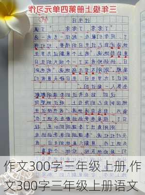 作文300字三年级上册,作文300字三年级上册语文