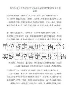 单位鉴定意见评语,会计实践单位鉴定意见评语