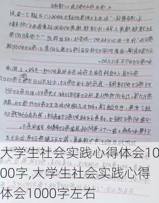 大学生社会实践心得体会1000字,大学生社会实践心得体会1000字左右