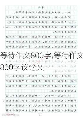 等待作文800字,等待作文800字议论文