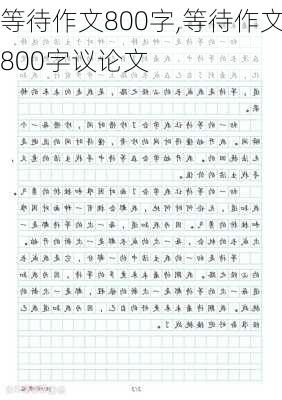 等待作文800字,等待作文800字议论文