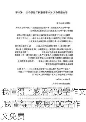 我懂得了感恩400字作文,我懂得了感恩400字作文免费