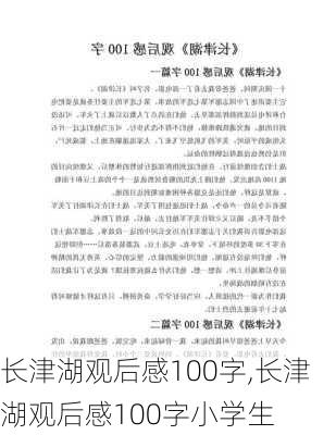 长津湖观后感100字,长津湖观后感100字小学生