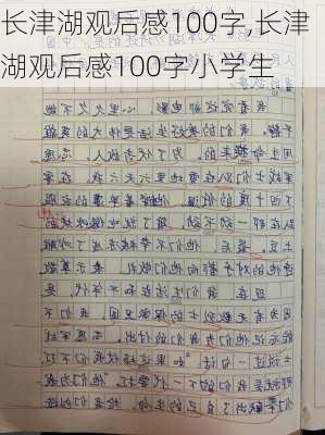 长津湖观后感100字,长津湖观后感100字小学生