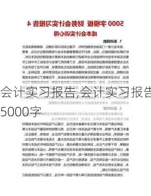 会计实习报告,会计实习报告5000字