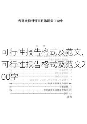 可行性报告格式及范文,可行性报告格式及范文200字