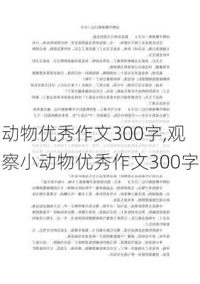 动物优秀作文300字,观察小动物优秀作文300字