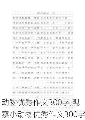 动物优秀作文300字,观察小动物优秀作文300字