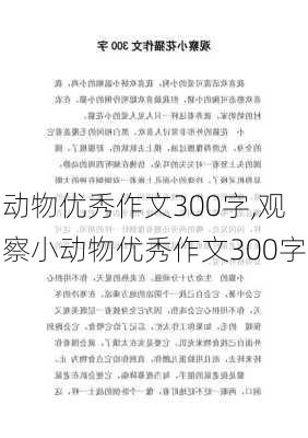 动物优秀作文300字,观察小动物优秀作文300字