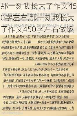 那一刻我长大了作文450字左右,那一刻我长大了作文450字左右做饭