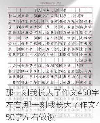 那一刻我长大了作文450字左右,那一刻我长大了作文450字左右做饭