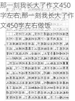 那一刻我长大了作文450字左右,那一刻我长大了作文450字左右做饭