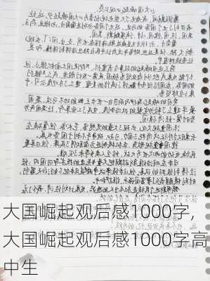 大国崛起观后感1000字,大国崛起观后感1000字高中生