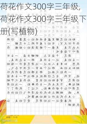 荷花作文300字三年级,荷花作文300字三年级下册(写植物)