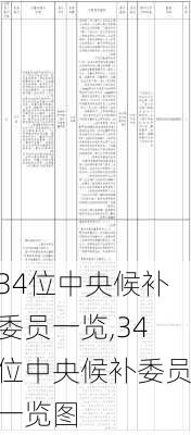 34位中央候补委员一览,34位中央候补委员一览图