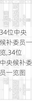 34位中央候补委员一览,34位中央候补委员一览图