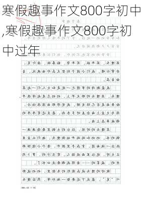 寒假趣事作文800字初中,寒假趣事作文800字初中过年