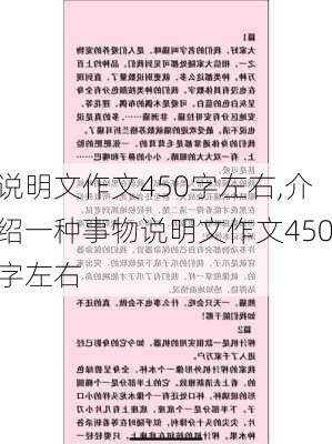 说明文作文450字左右,介绍一种事物说明文作文450字左右